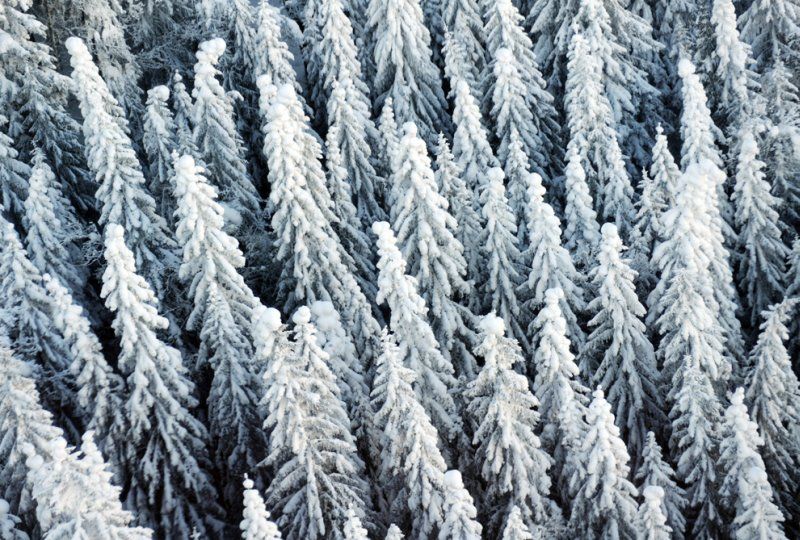 winter photography