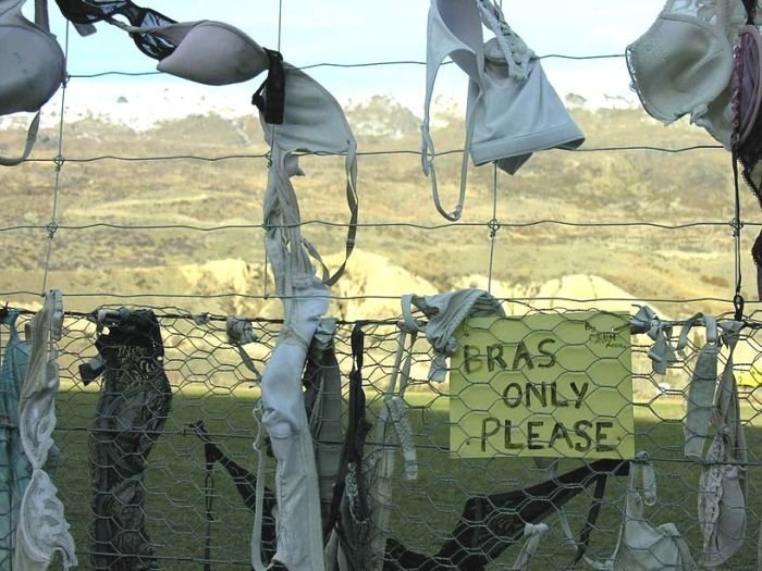 Bra fence, idea by John Lee, 66-year-old farmer, New Zealand