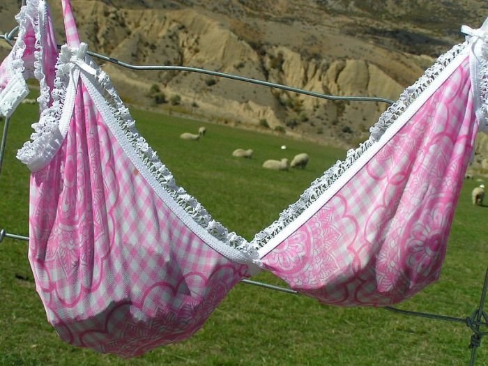 Bra fence, idea by John Lee, 66-year-old farmer, New Zealand