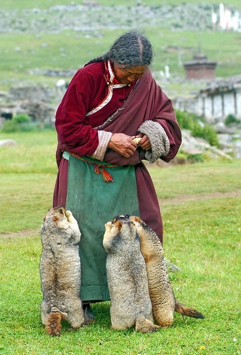 Tibet