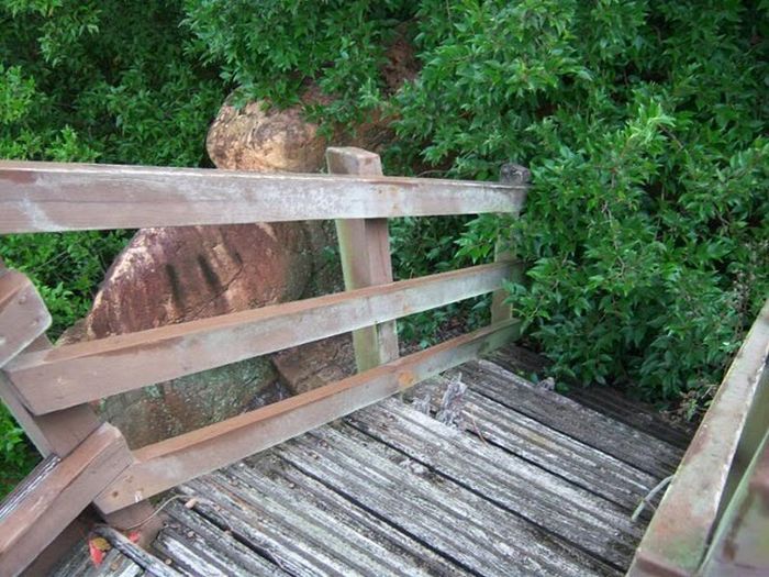 The abandoned water park in Walt Disney World, United States