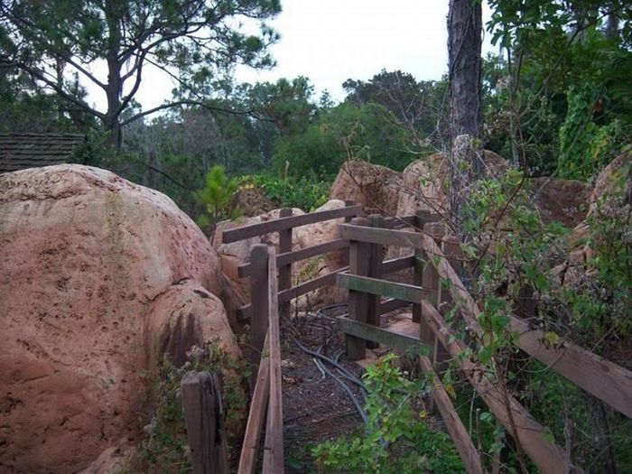 The abandoned water park in Walt Disney World, United States