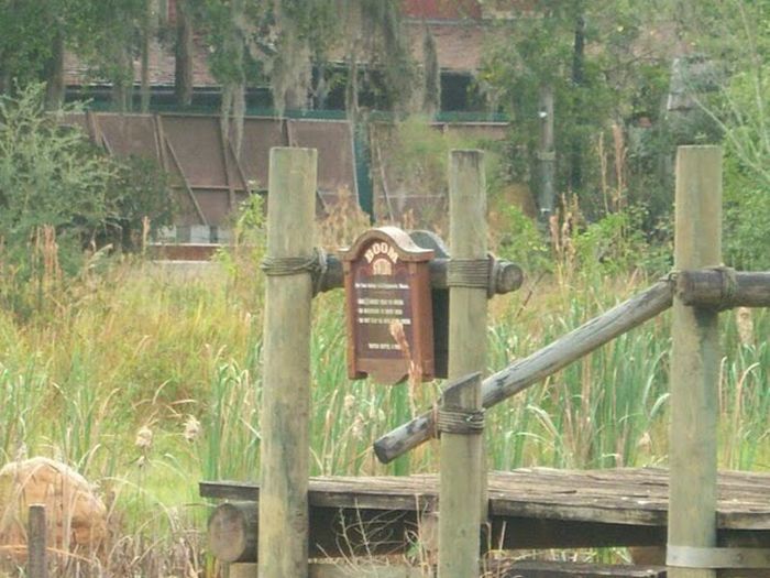 The abandoned water park in Walt Disney World, United States