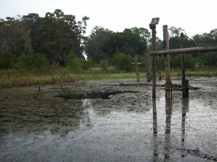 The abandoned water park in Walt Disney World, United States