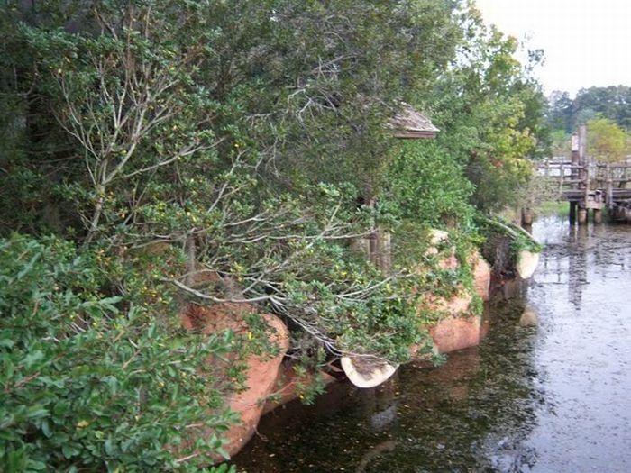 The abandoned water park in Walt Disney World, United States