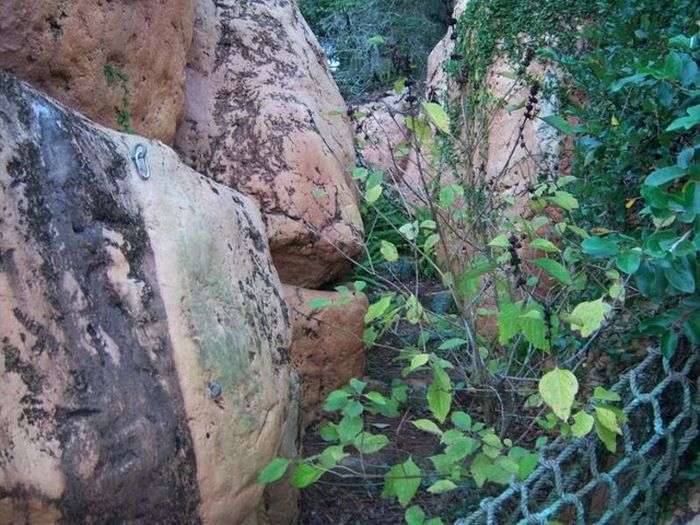 The abandoned water park in Walt Disney World, United States