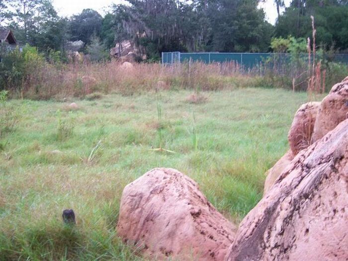 The abandoned water park in Walt Disney World, United States