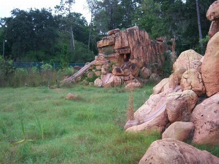 The abandoned water park in Walt Disney World, United States