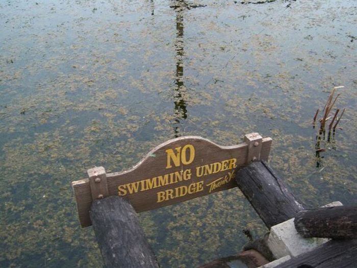 The abandoned water park in Walt Disney World, United States