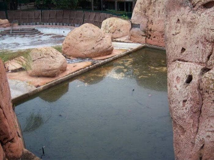 The abandoned water park in Walt Disney World, United States