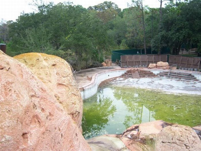 The abandoned water park in Walt Disney World, United States