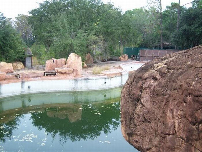 The abandoned water park in Walt Disney World, United States