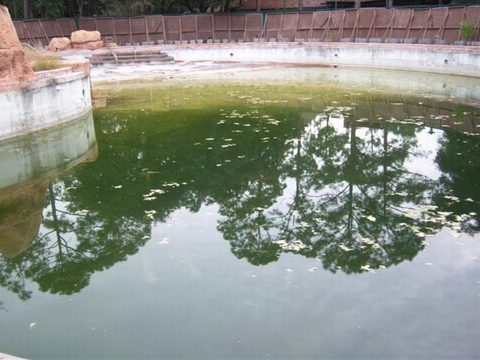 The abandoned water park in Walt Disney World, United States