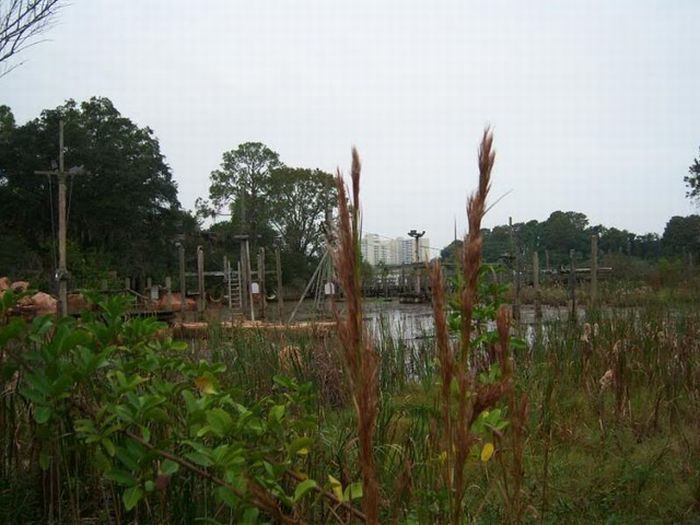 The abandoned water park in Walt Disney World, United States