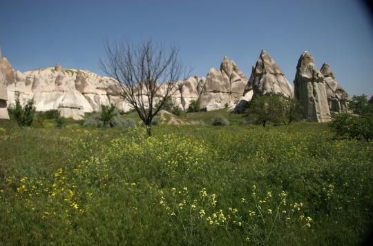 High phallic geology, Valley of Love (Valley Phallus), small town of Göreme, Cappadocia, Turkey