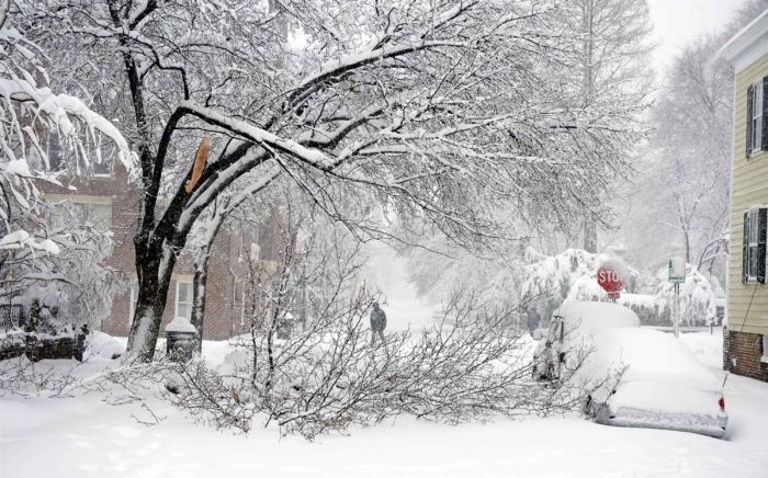 Snowpocalypse, United States
