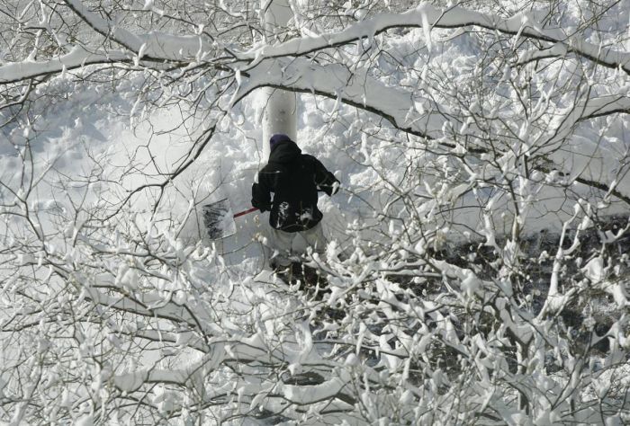 Snowpocalypse, United States