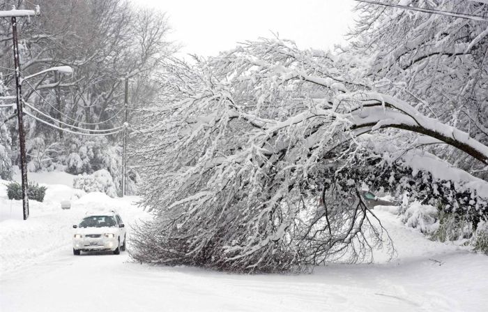 Snowpocalypse, United States