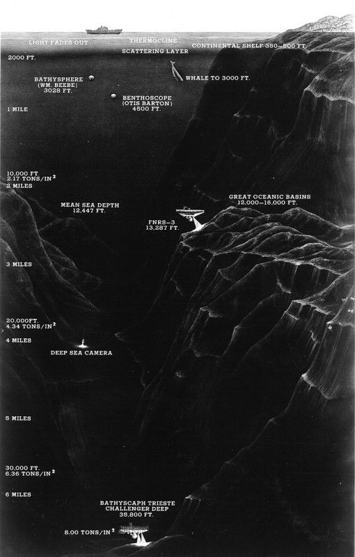 Mariana Trench, deep ocean basin