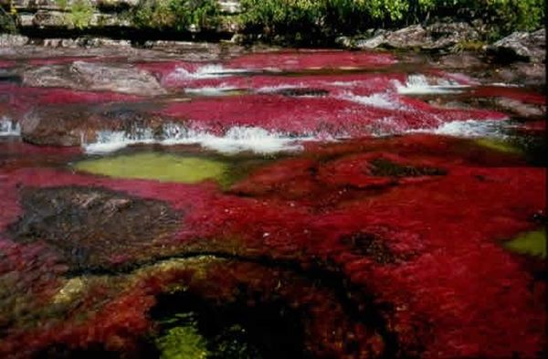 Kamchatka rainbow river