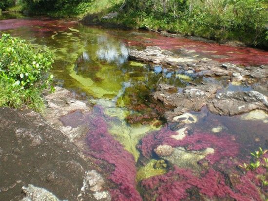 Kamchatka rainbow river