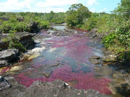 Kamchatka rainbow river