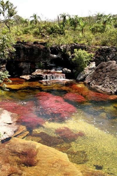 Kamchatka rainbow river