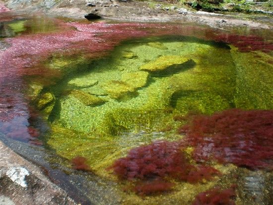 Kamchatka rainbow river