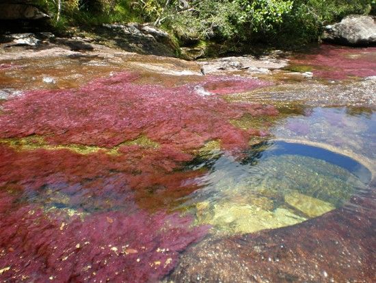 Kamchatka rainbow river