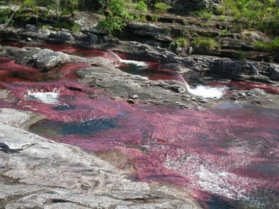 Kamchatka rainbow river