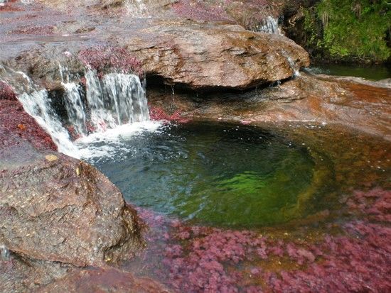 Kamchatka rainbow river