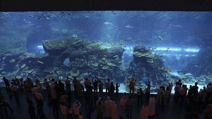 Aquarium springs a leak in Dubai Mall, United Arab Emirates