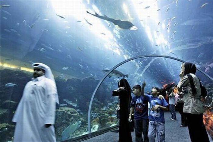 Aquarium springs a leak in Dubai Mall, United Arab Emirates