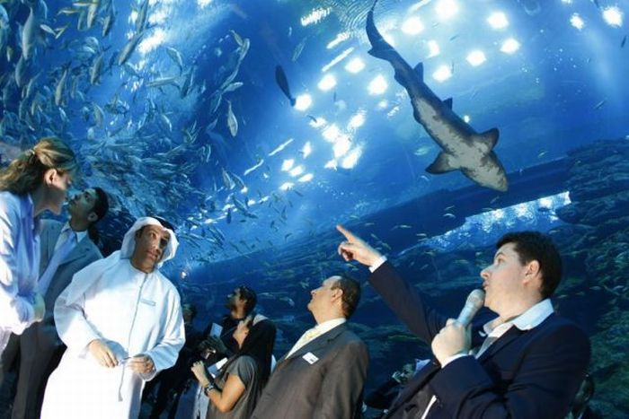 Aquarium springs a leak in Dubai Mall, United Arab Emirates