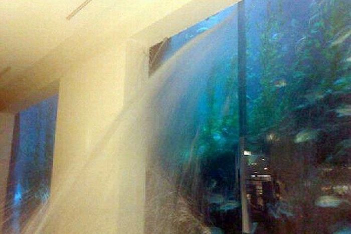 Aquarium springs a leak in Dubai Mall, United Arab Emirates