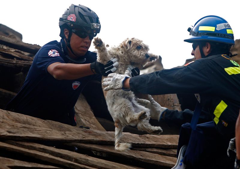 3 days after earthquake in Chile, South America