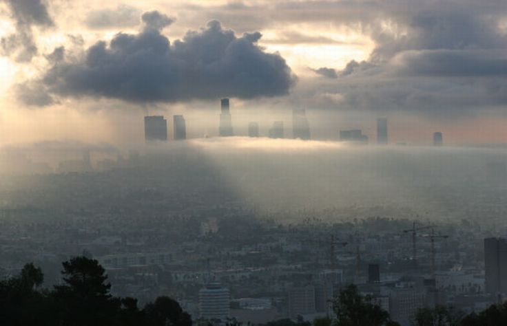 bird's-eye view of buildings above the clouds