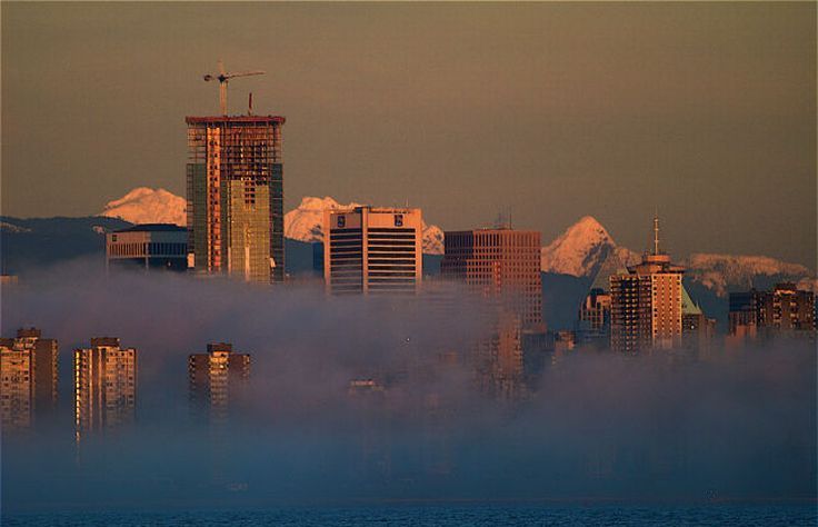 bird's-eye view of buildings above the clouds