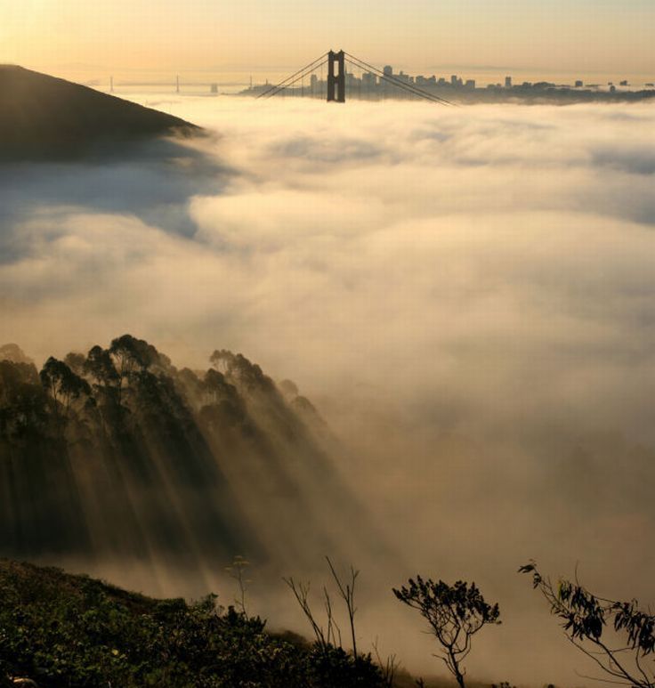 bird's-eye view of buildings above the clouds