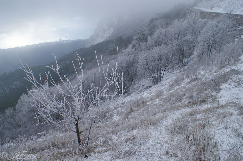 Ai Petri, Yalta, Ukraine