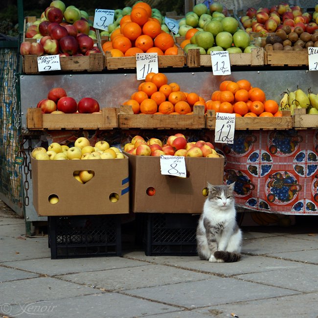 Ai Petri, Yalta, Ukraine