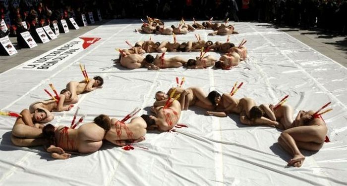 Protest against bull fighting, Madrid, Spain