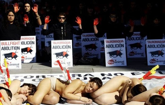 Protest against bull fighting, Madrid, Spain