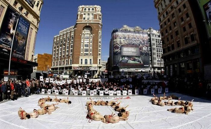 Protest against bull fighting, Madrid, Spain