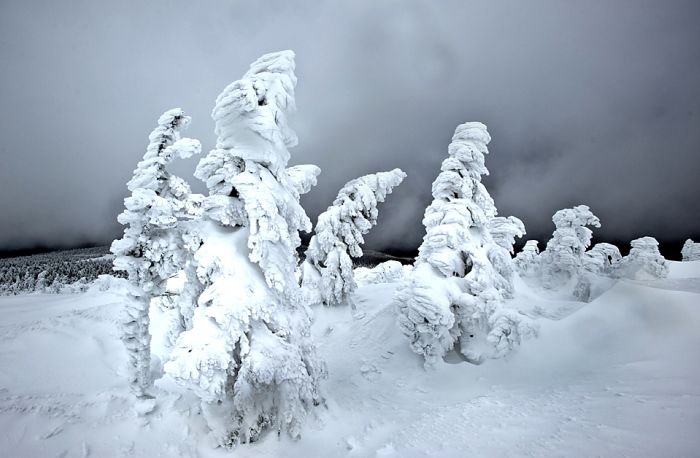 GERMANY-WEATHER-SNOW