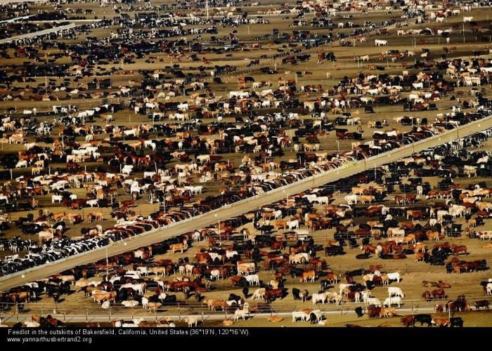 Bird's-eye view photography by Yann Arthus Bertrand