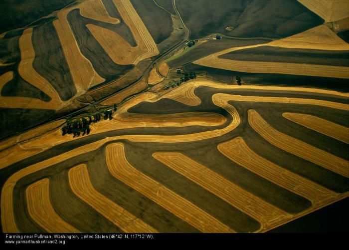 Bird's-eye view photography by Yann Arthus Bertrand