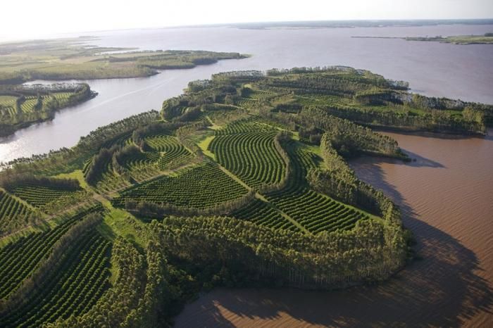 Bird's-eye view photography by Yann Arthus Bertrand