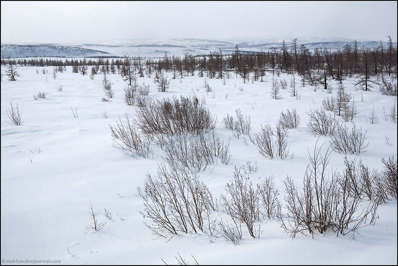 Yamal Peninsula, Siberia, Russia