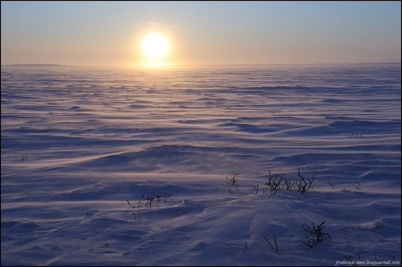 Yamal Peninsula, Siberia, Russia